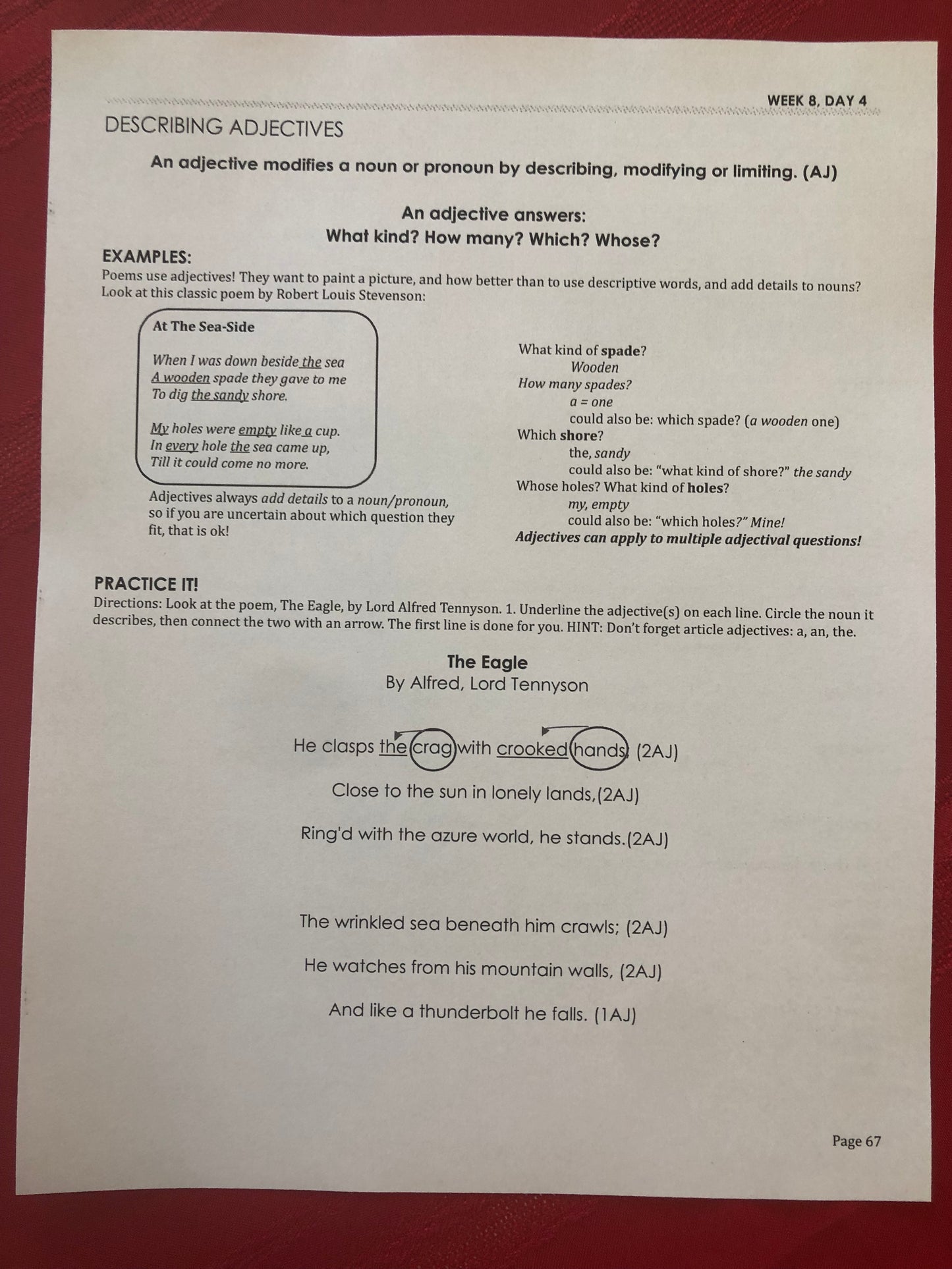 **NEW** American History Grammar Workbook